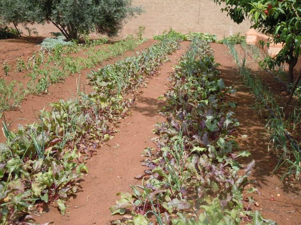 Riad Jnane Ines Тарудант Екстериор снимка