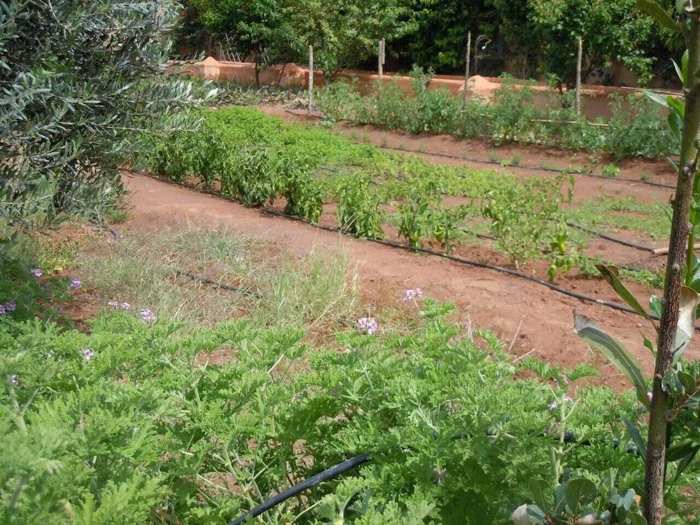 Riad Jnane Ines Тарудант Екстериор снимка